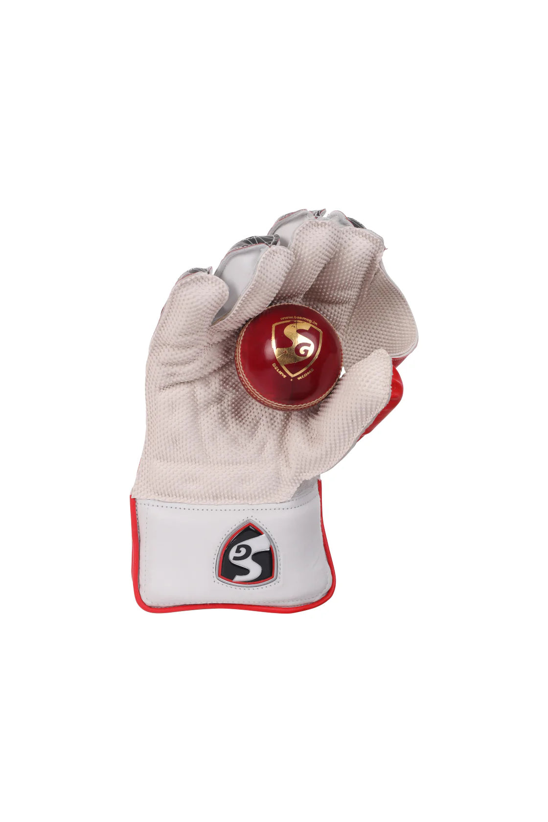 SG Test Wicket Keeping Gloves