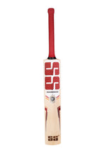 SS Gutsy KW Kashmir Willow Cricket Bat rear View