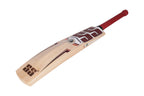 SS Gutsy KW Kashmir Willow Cricket Bat - SH