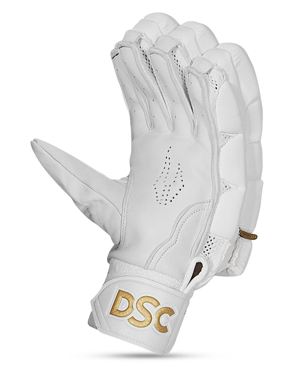 DSC Pro Players Grade Cricket Batting Gloves