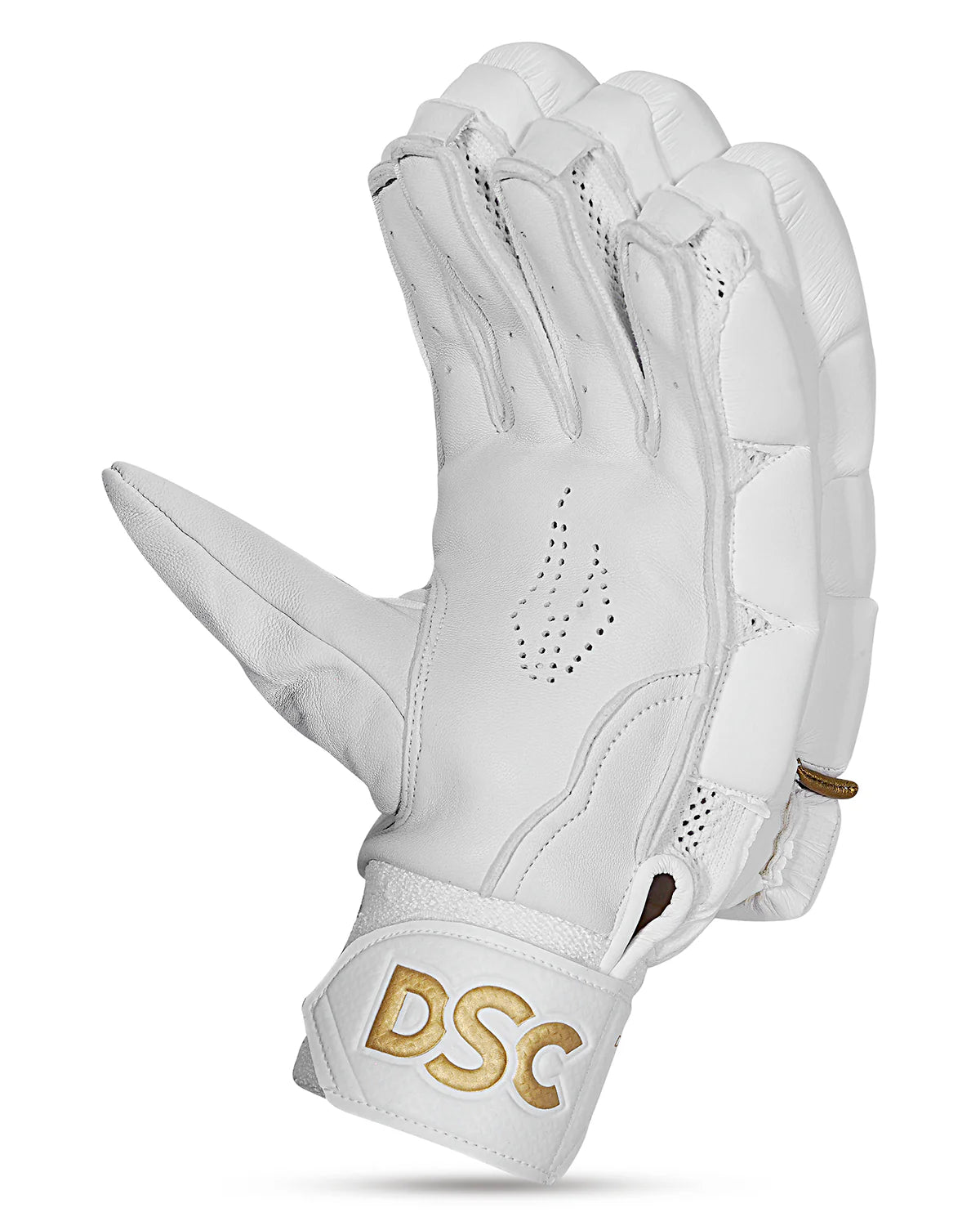 DSC Pro Players Grade Cricket Batting Gloves