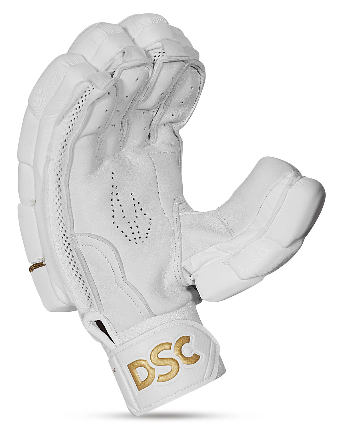 DSC Pro Players Grade Cricket Batting Gloves