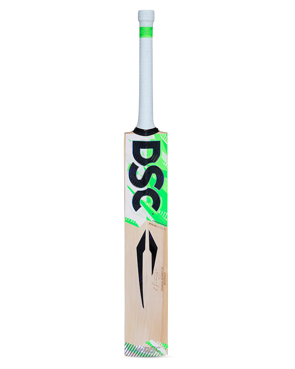 DSC Spliit Special Edition English Willow Cricket Bat Rear View