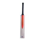 Gray-Nicolls Legacy Cricket Bat Rear View