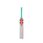 Gray-Nicolls Supra Blazer Kashmir Willow Cricket Bat Front View