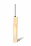 Custom Plain Cricket Bat
