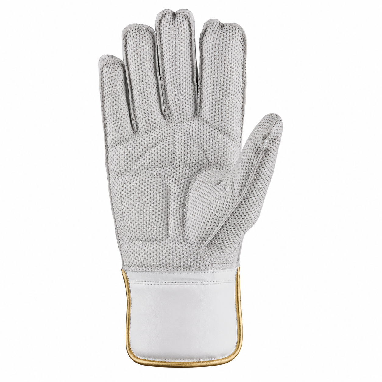 SS TON Pro 1.0 Wicket Keeping Gloves