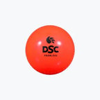 DSC Panther Plastic Set