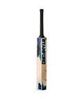 SF Cobra 2.0 Kashmir Willow Cricket Bat Rear View