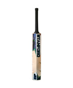 SF Cobra 2.0 Kashmir Willow Cricket Bat Rear View
